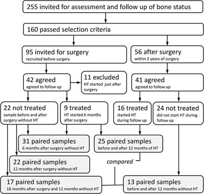 Interindividual differences contribute to variation in microbiota composition more than hormonal status: A prospective study